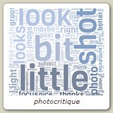 photocritique