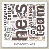 timberwolves